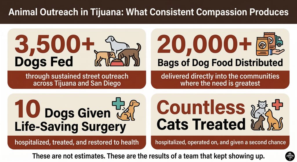 The Impact by the Numbers